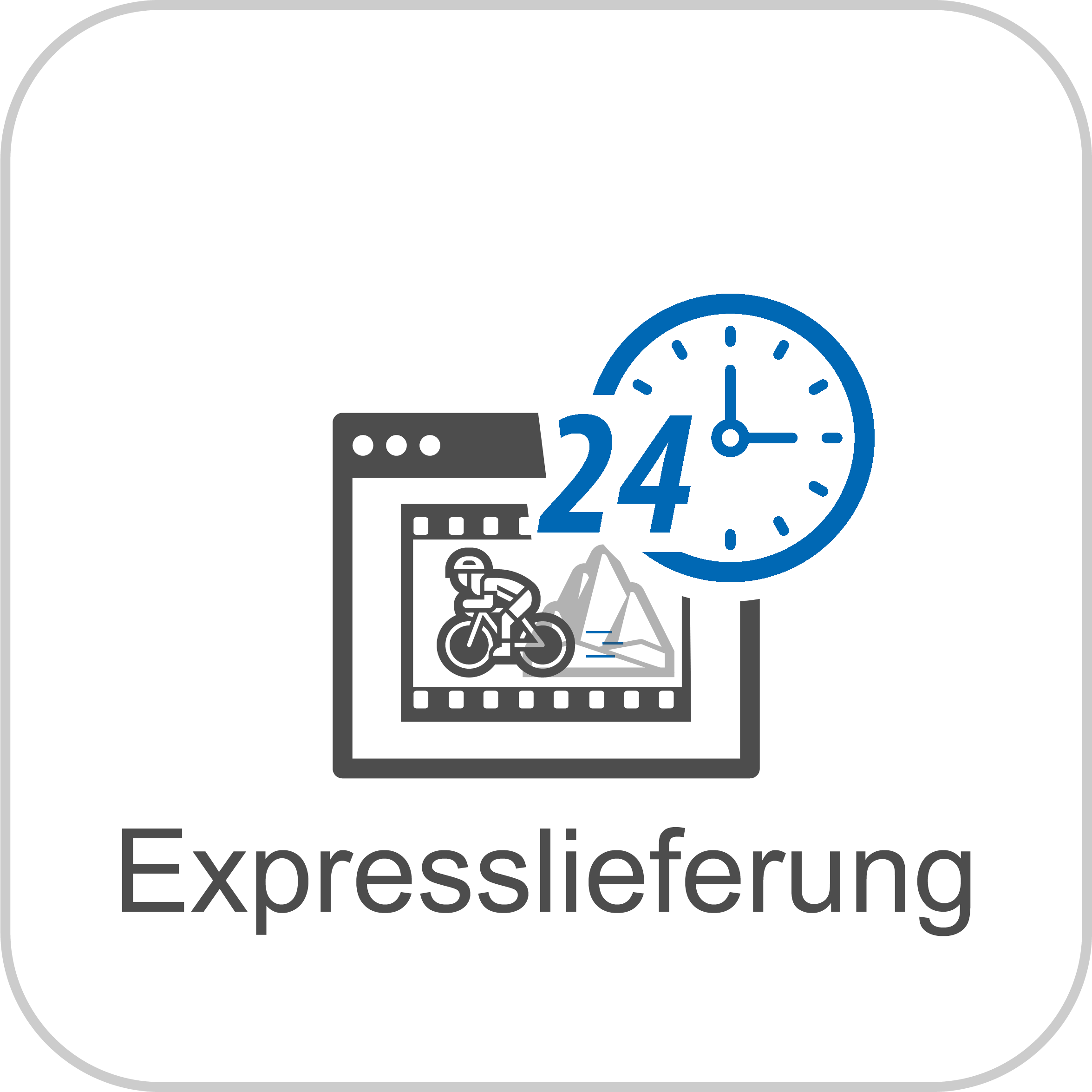 Expresslieferung